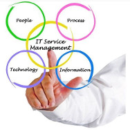 IT CONSULTING SERVICE